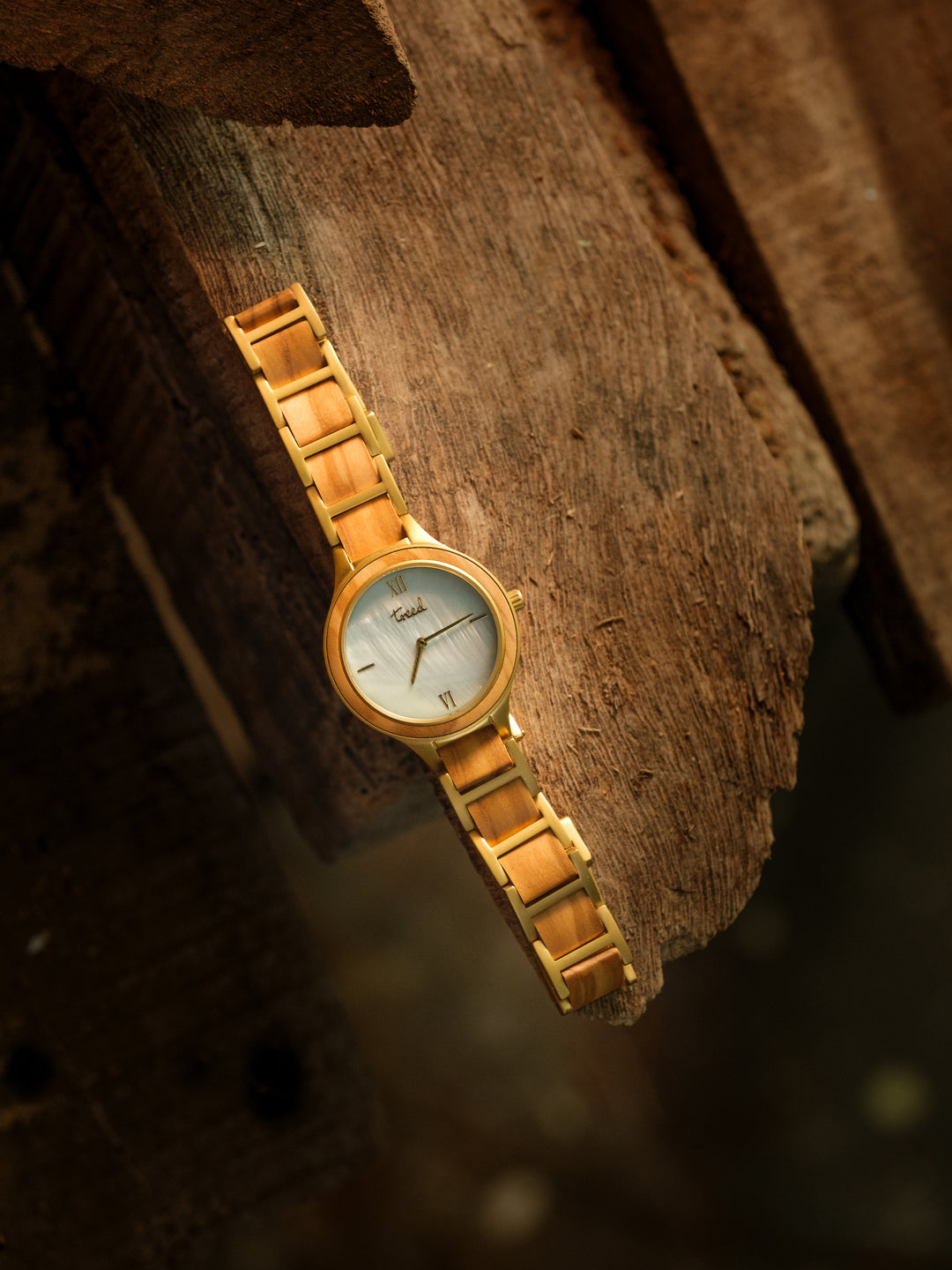 Treed Frost (Olive/Nacre)