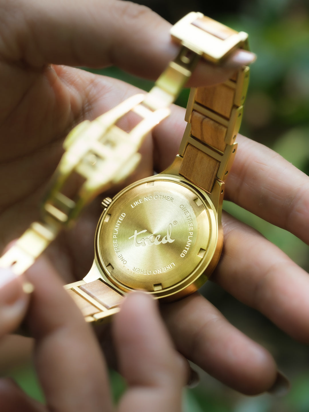 Treed Frost (Olive/Nacre)