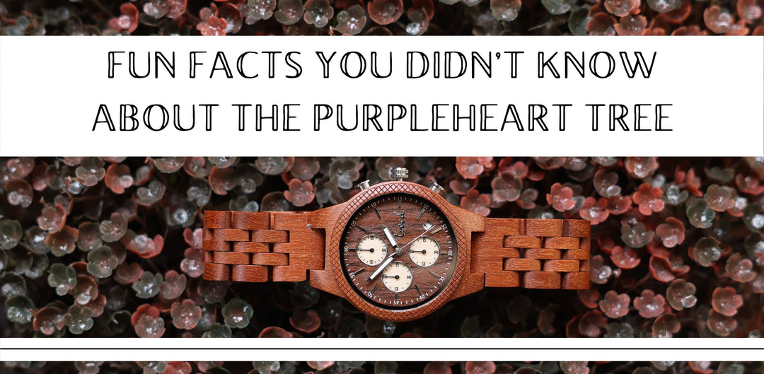 Fun facts you didn’t know about the Purpleheart tree