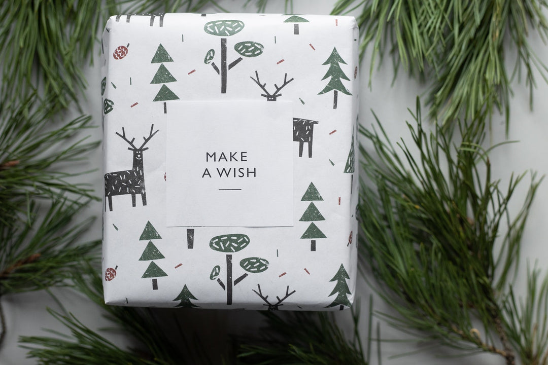 7 Eco friendly Gifts that Make a Real Difference