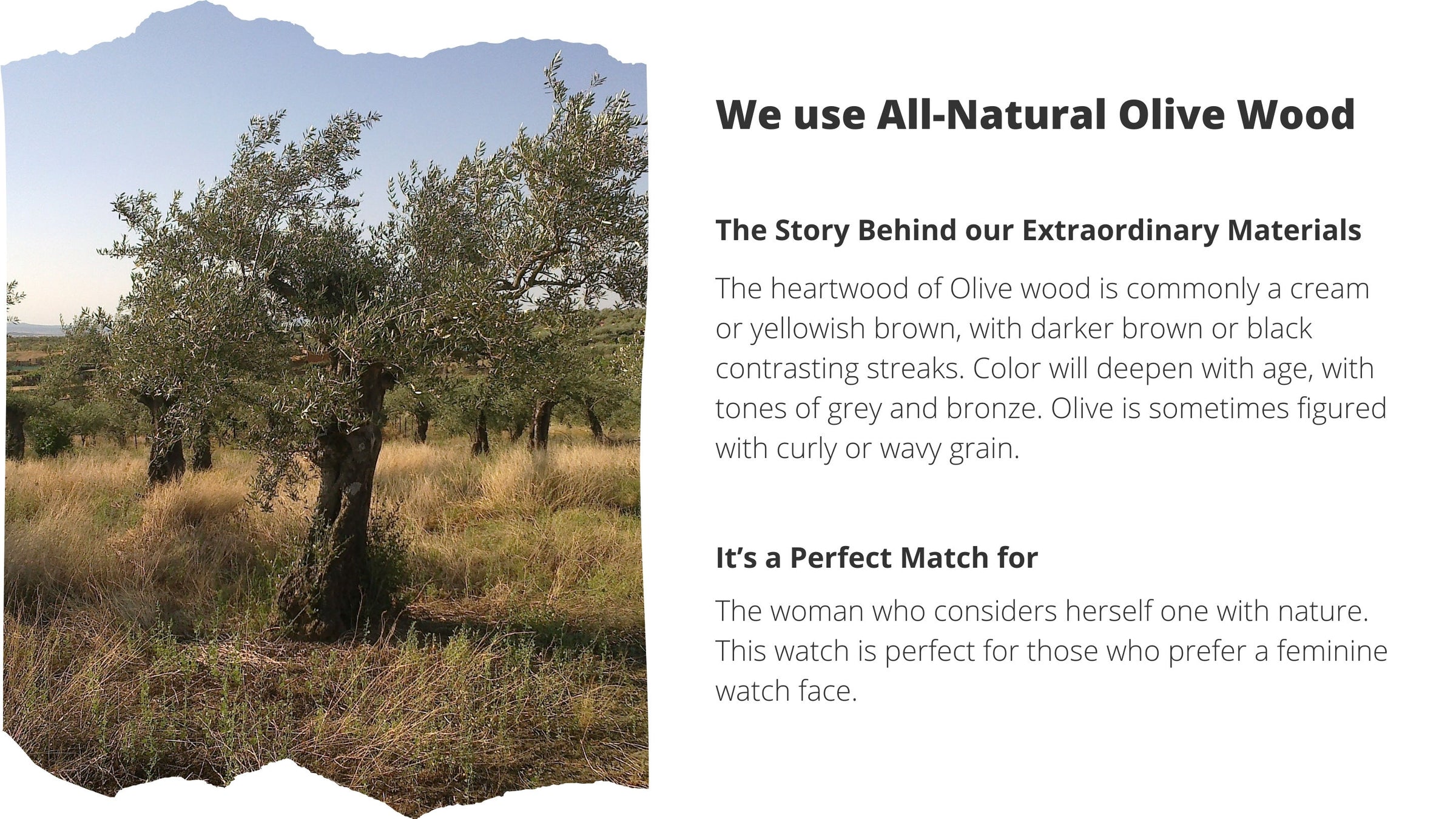 Materials and “perfect match for” slide for Treed Lana (Olive/Green) showing olive wood grain, green marble dial, and crystal accents at 12, 3, 6, and 9.