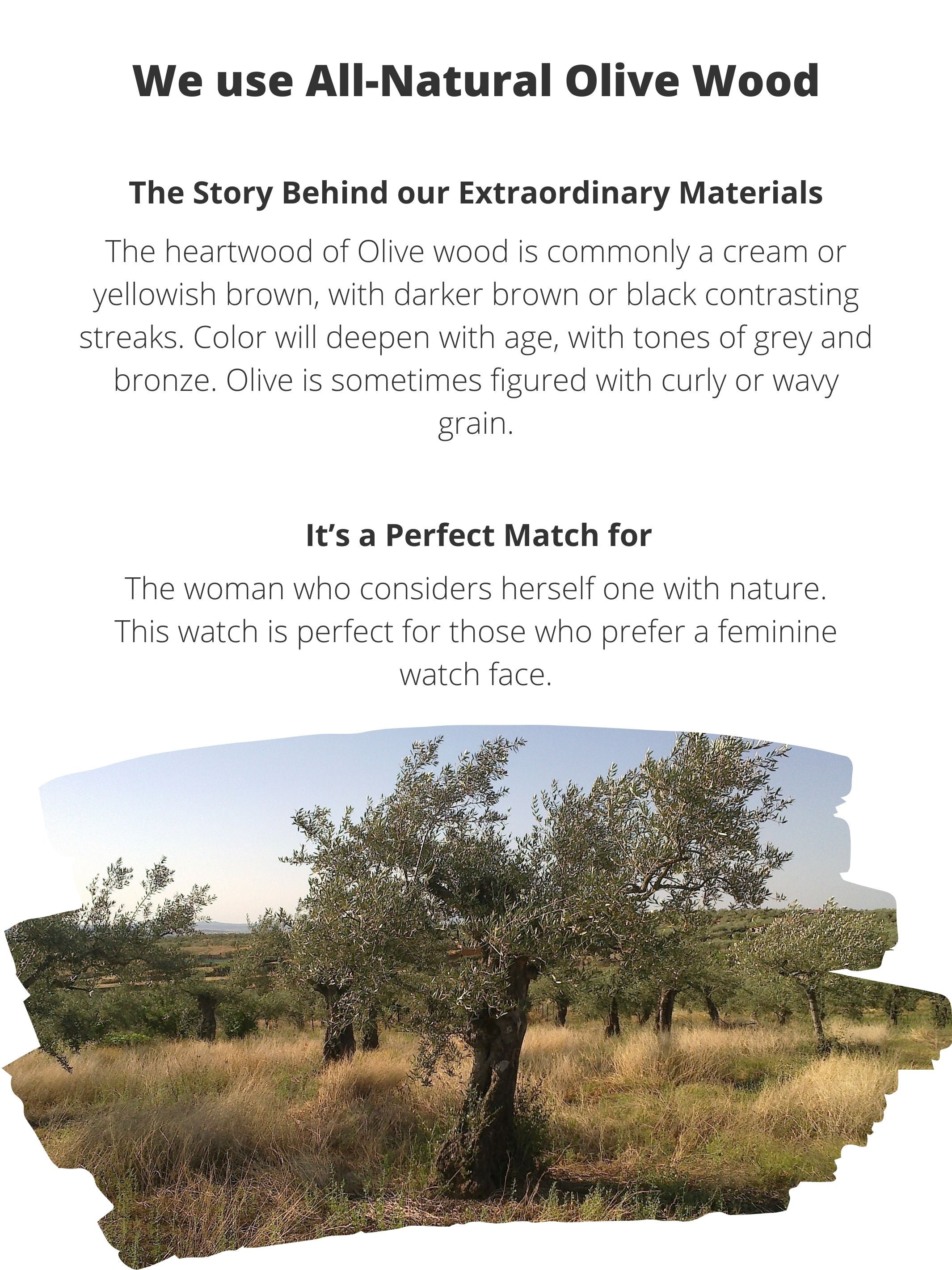 Vertical materials and “perfect match for” slide for Treed Lana (Olive/Green) with olive wood and crystal-accent dial details.