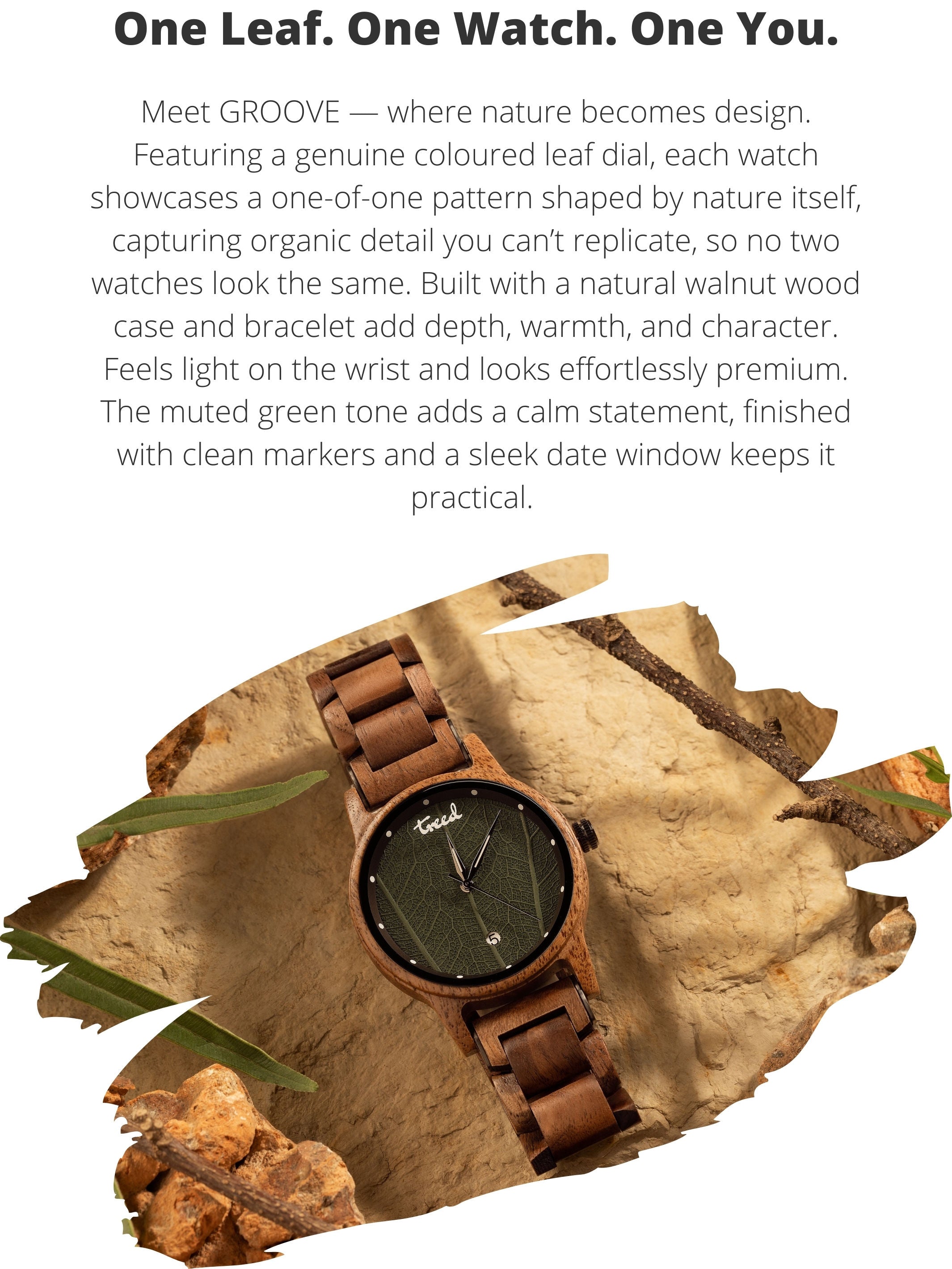 Vertical product description slide for Treed GROOVE (Walnut) featuring leaf dial and walnut wood construction.