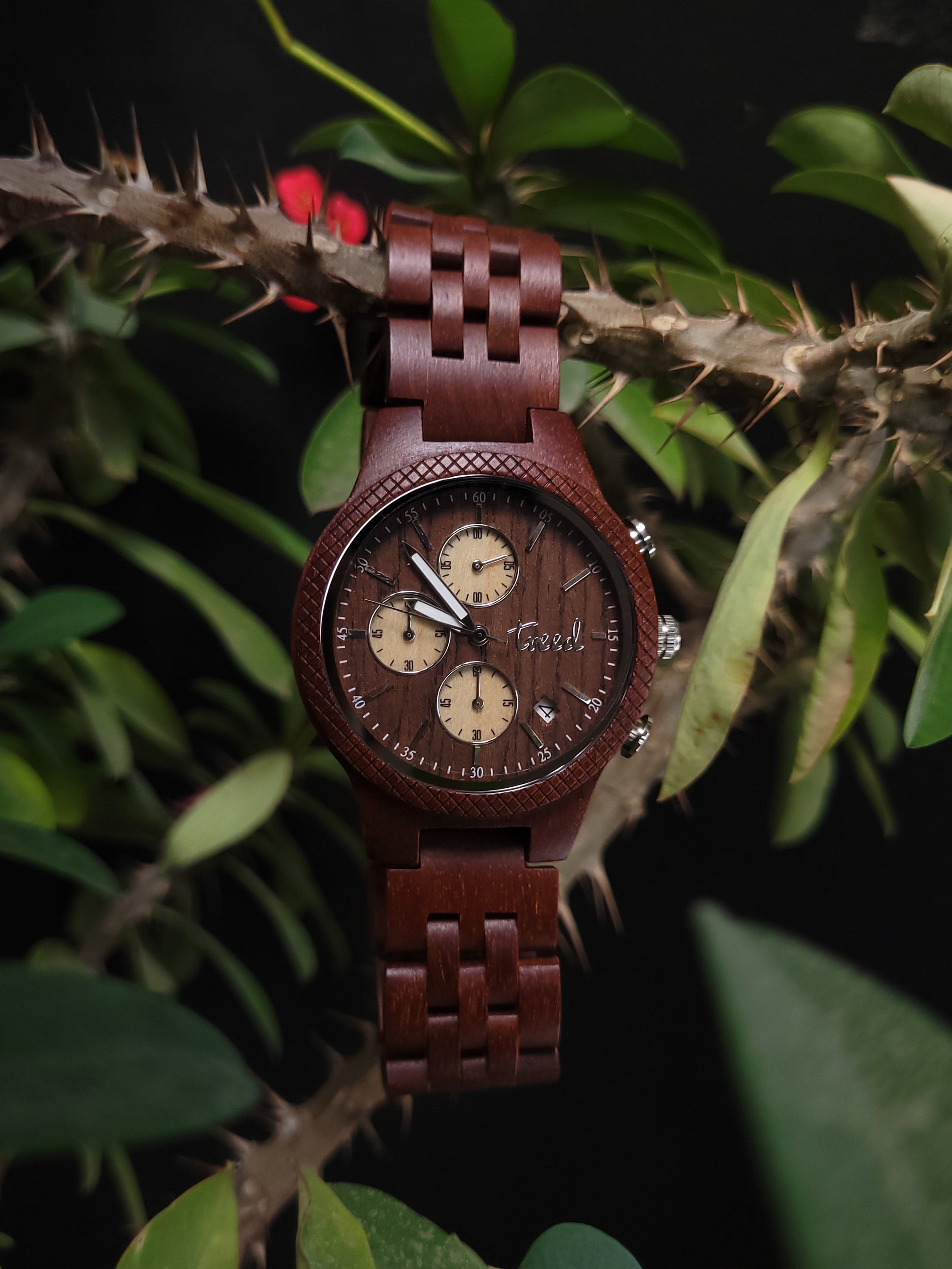 Men's Wooden Watches | VEJRHØJ | Official Brandsite